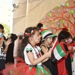 UAE-50-NationalDay-Celebrations-NAS-1