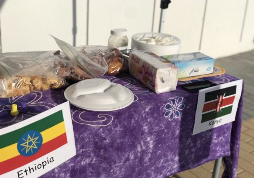 International Day at Smart Vision School Al Barsha